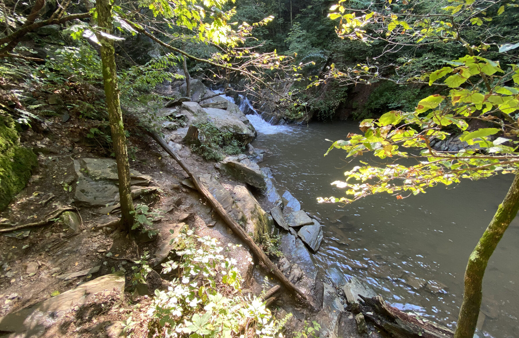 Water falls on the Moormans River